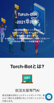 Torchbot (1).jpg